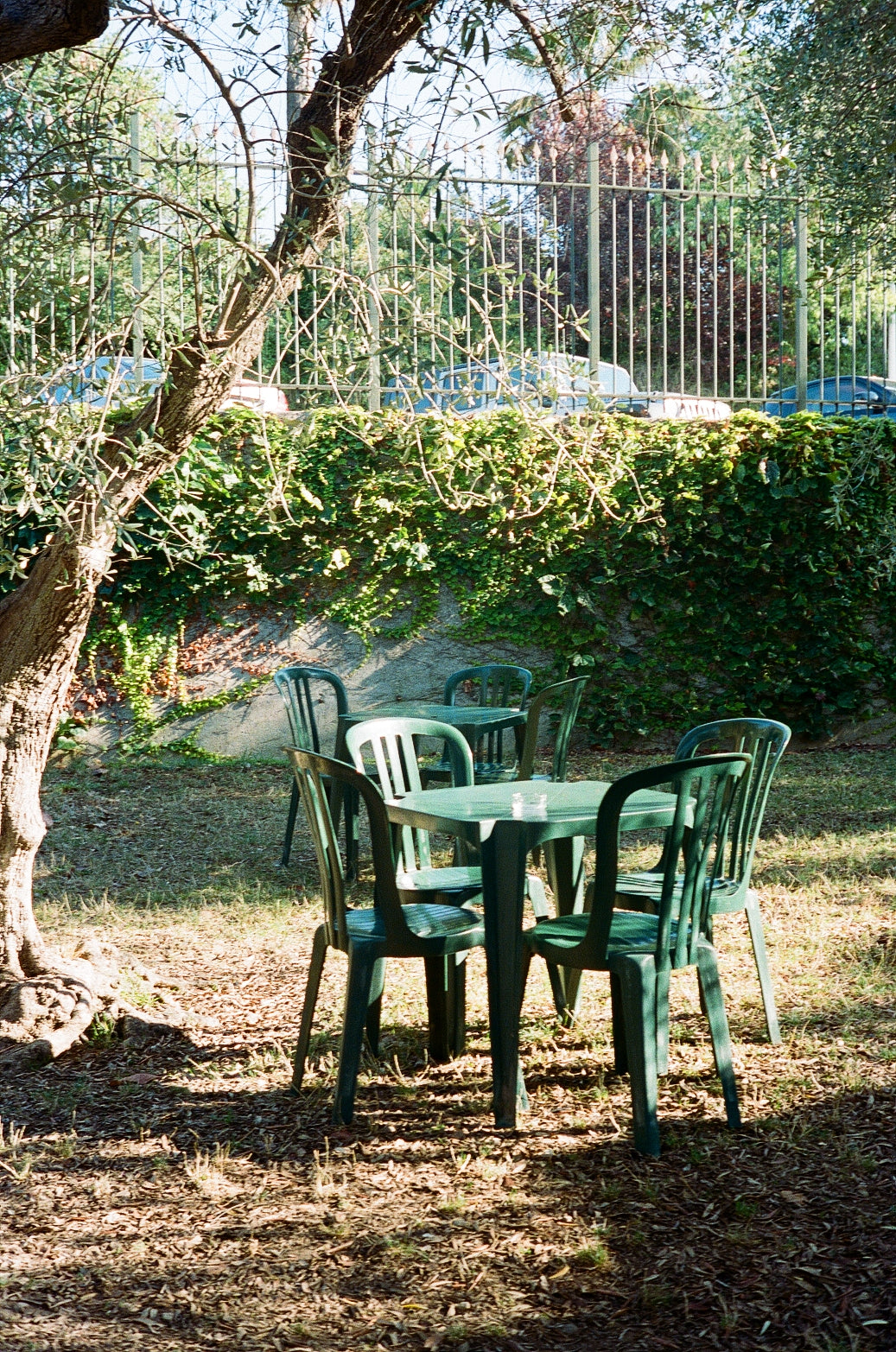 La buvette des Arènes - chairs